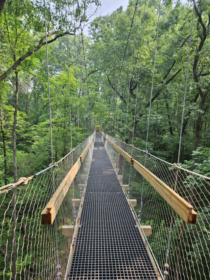 Wooden elevated walkway with green & brown trees surrounding it.