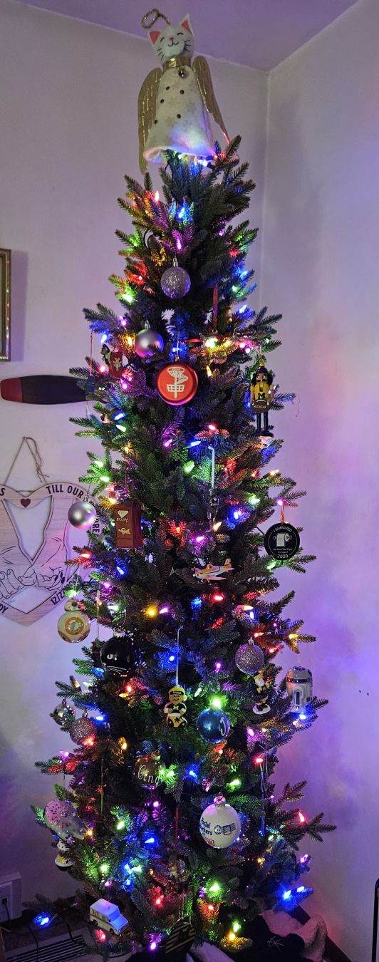 Green Christmas tree, with multicolored lights of red, green. blue, pink, & yellow. A white cat at the top with gold angel wings, gold halo, pink ears & nose.  Many ornaments of cats, star wars, postal & disc golf ornaments.