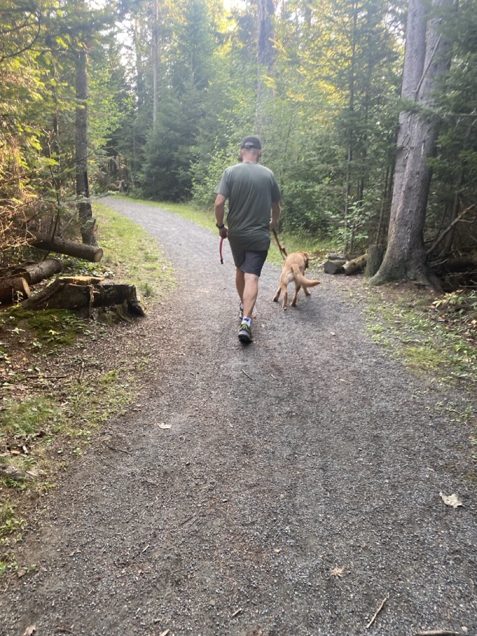 Middle aged man with golden retriever/labrador mix (called Niamh). On a gravel trail, trees either side.