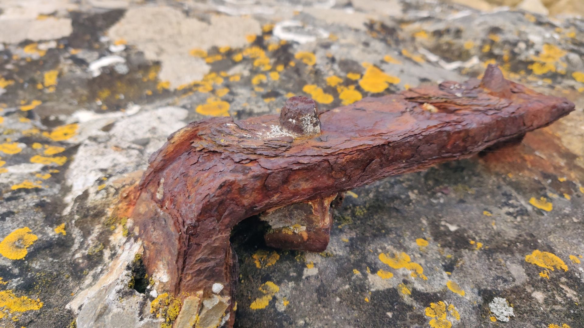 Rusted/Corroded metal poking out of a rock with yellow and white splodges (moss?)