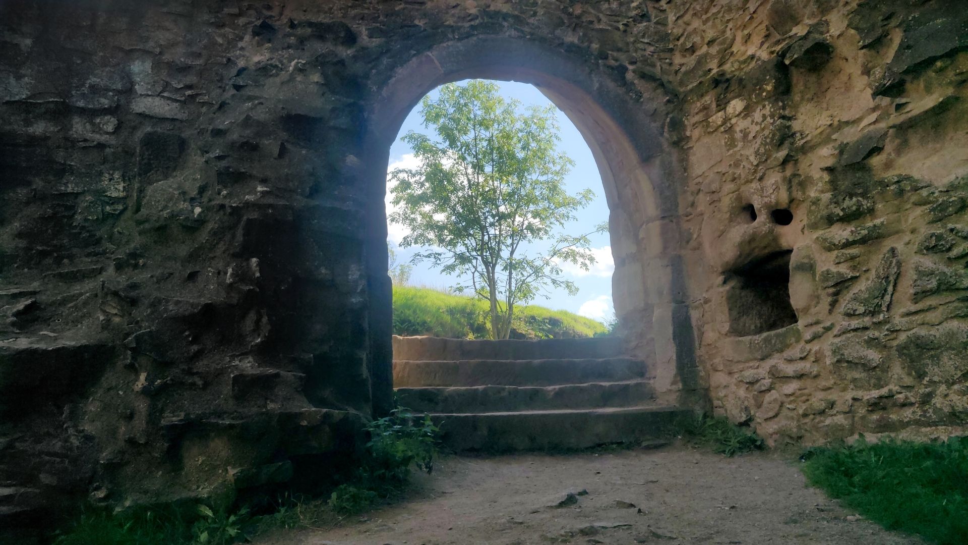 An archway in castle ruins/remains. Moss and plants grow on and next too the walls. Through the archway a brightly lit deciduous tree on a green hill can be see. The tree just fits into the view of the arch.