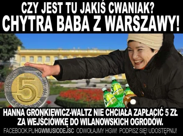wszystko