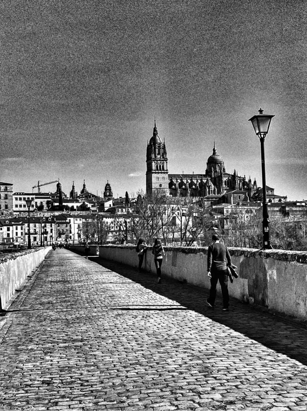 Puente Romano y Catedral de Salamanca. En blanco y negro
