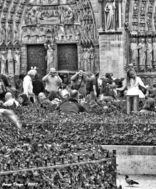 Una niña juega con palomas en la Catedral de Notre Dame. Paris. 
En blanco y negro