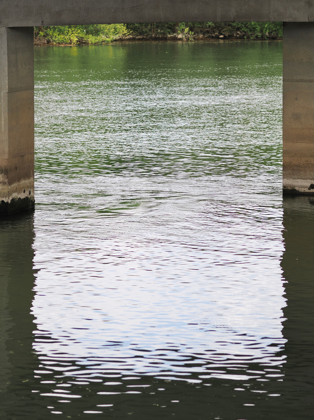 A vertical photo of a river: a rectangle of water, with a frame formed by some bridge's pillars, its bottom part on the top, and their reflection below. There are ripples on the water, and a bit of a shore with some grass and bushes visible on top.