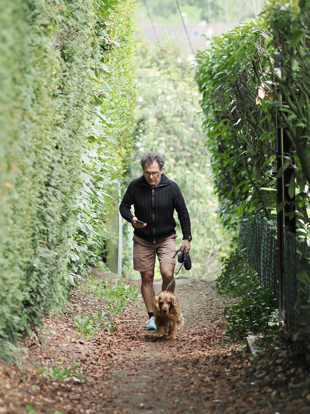 A photo of a person walking uphill with a dog. The person wears glasses and looks in their phone. The dog is on a leash, and is a golden cocker spaniel. The path is narrow with a wall of green vegetation on the left, and a green wired fence with some vegetation on top on the right. The ground is covered with brown leaves, and in the background there is more out-of-focus vegetation visible.
