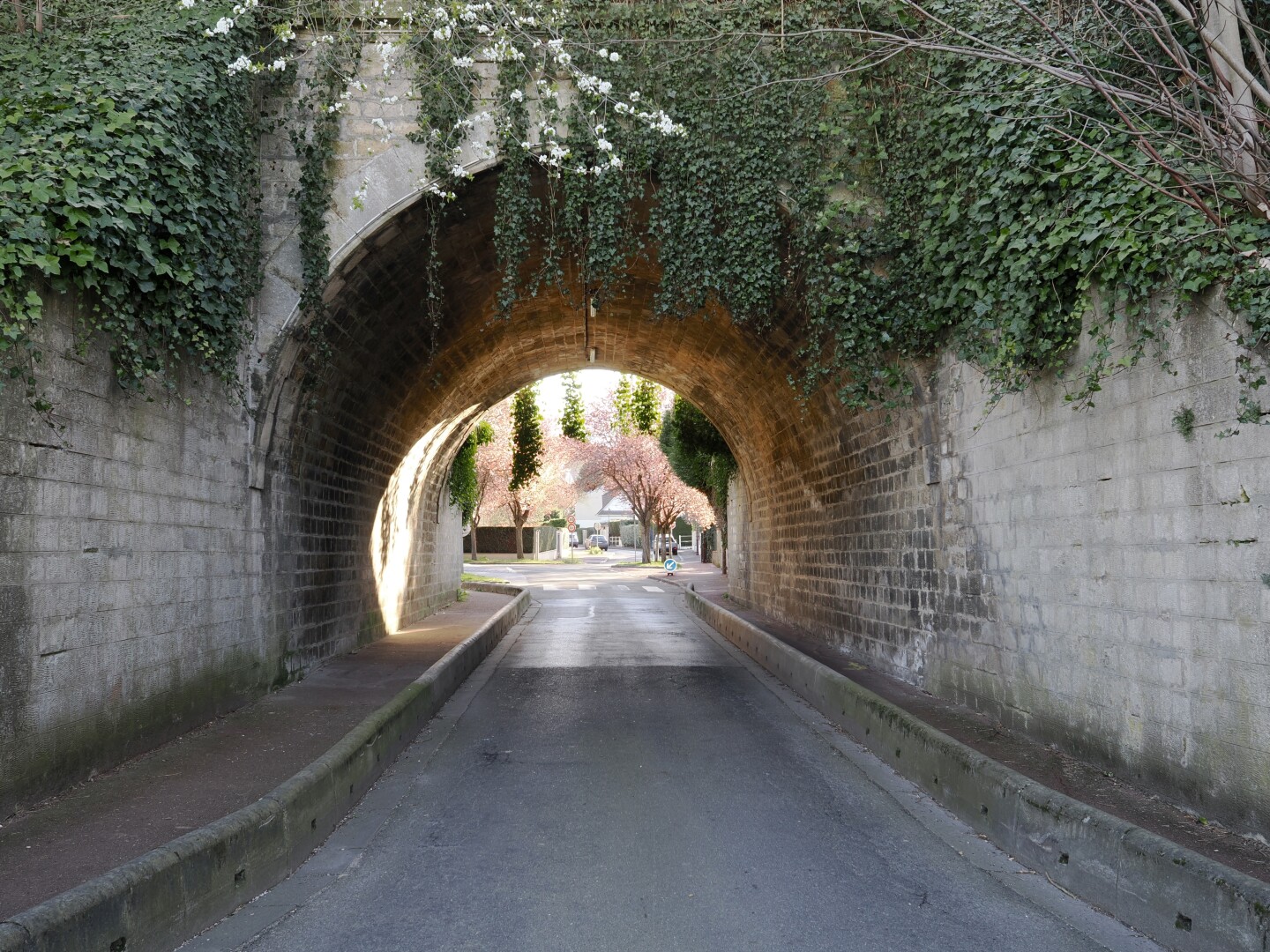 A photo of a short arc-shaped tunnel with brick walls. The road is narrow, and is enough for only one car, with two pedestrian walkways on each side: the left one is wider than a narrow right one. The front of the tunnel is framed with green vines and tree branches, some of which has white flowers on them. After the tunnel, a few trees are visible, blossoming with pink flowers, as well as a few buildings and cars. Before the tunnel is all in shade, but further in the tunnel there is light, with the sun making a bright spot on one of the tunnel's walls.