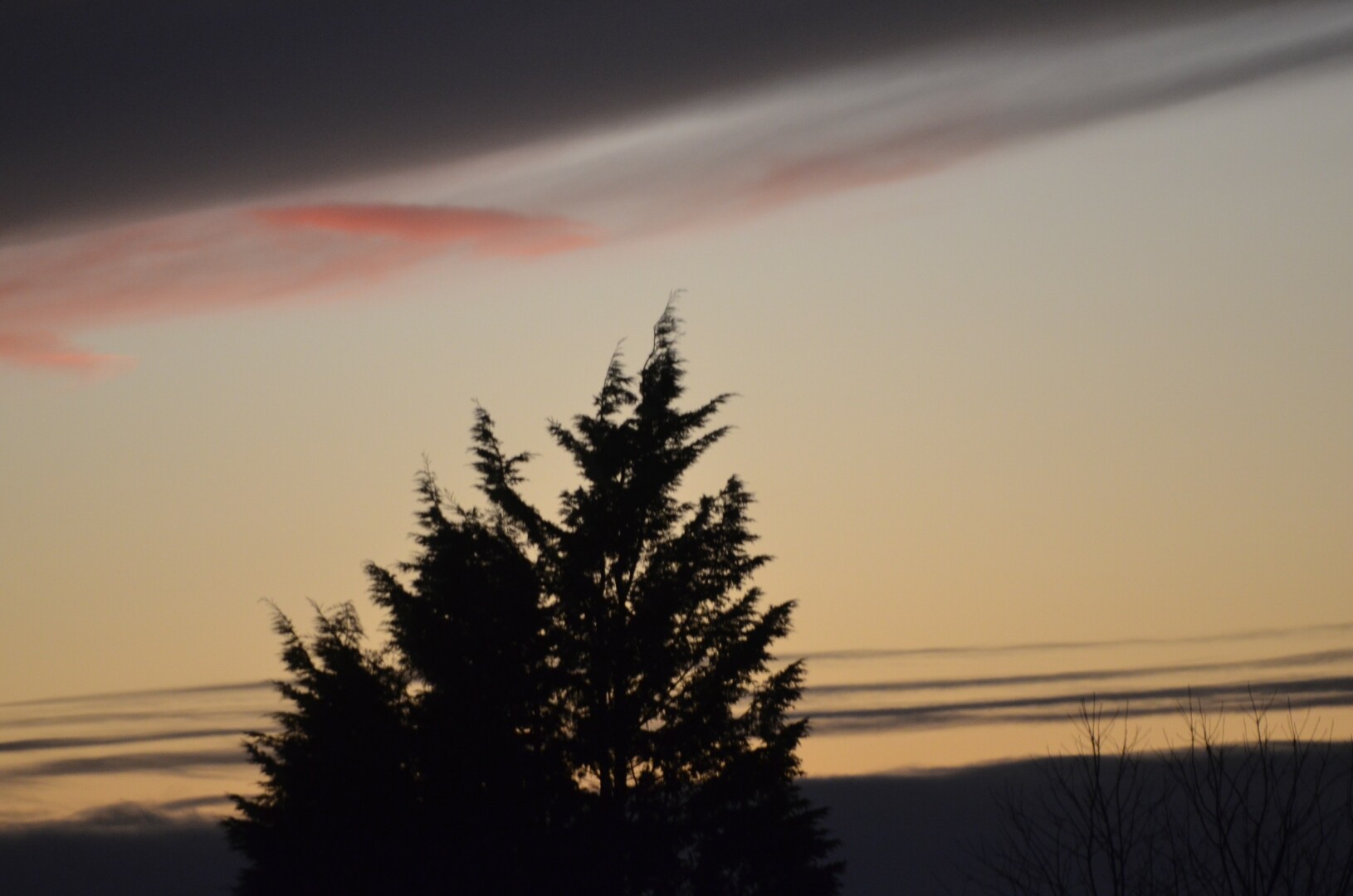 A dark sky, in the top left, lightens to a warm yellow in which a dark outline of a tree sits in the foreground. A few wispy clouds appear orange in the sky.