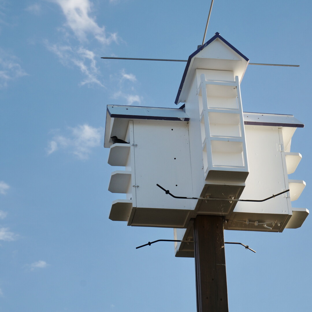 A view of a multi-family bird house with a small bird perched on one of its patios.