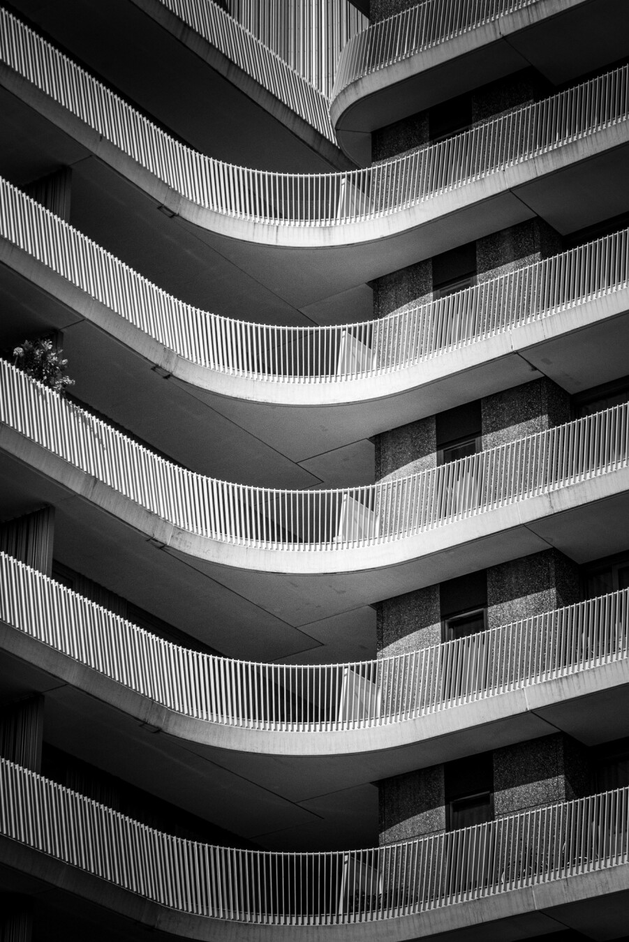 Black and white picture.The circular-ish gates of a galleries of apartment complex