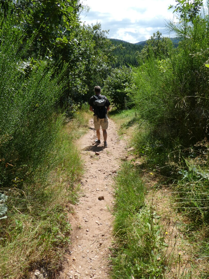 Eine Person geht auf einem schmalen Feldweg, umgeben von üppigem Grün und Bäumen, mit sanften Hügeln im Hintergrund unter einem teilweise bewölkten Himmel.