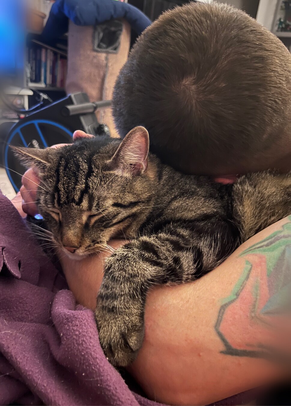 tabby cat cuddling with his dad