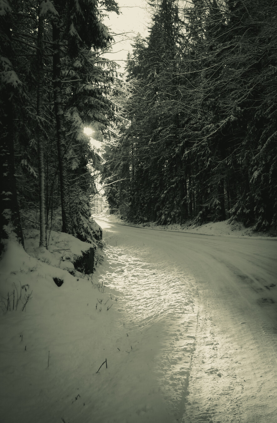 A image of a snow covered road in through the forest during winter - in black and white