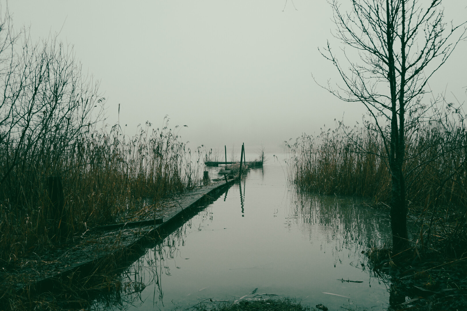 A wooden pier - during a foggy day