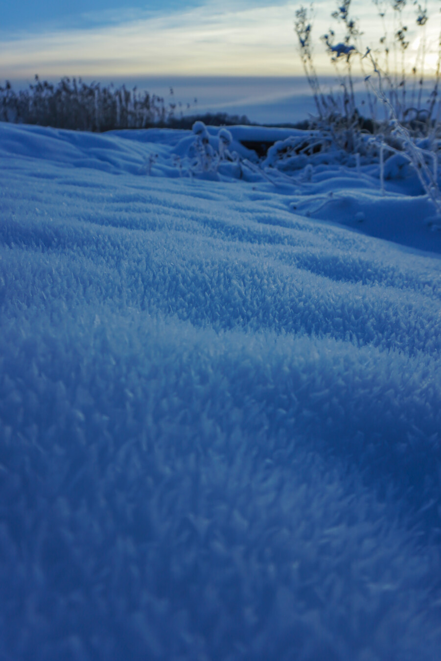 Close up of snow covered ground during evening