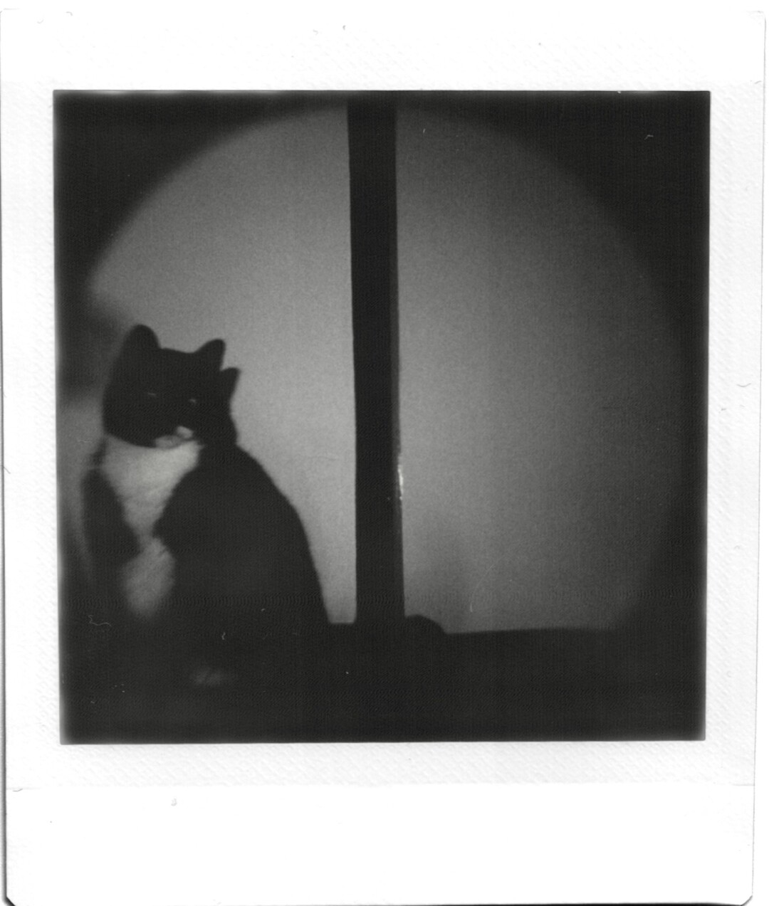 An instant photo with a white frame with heavy vignetting of à tuxedo cat sitting next to a dark grey door post.