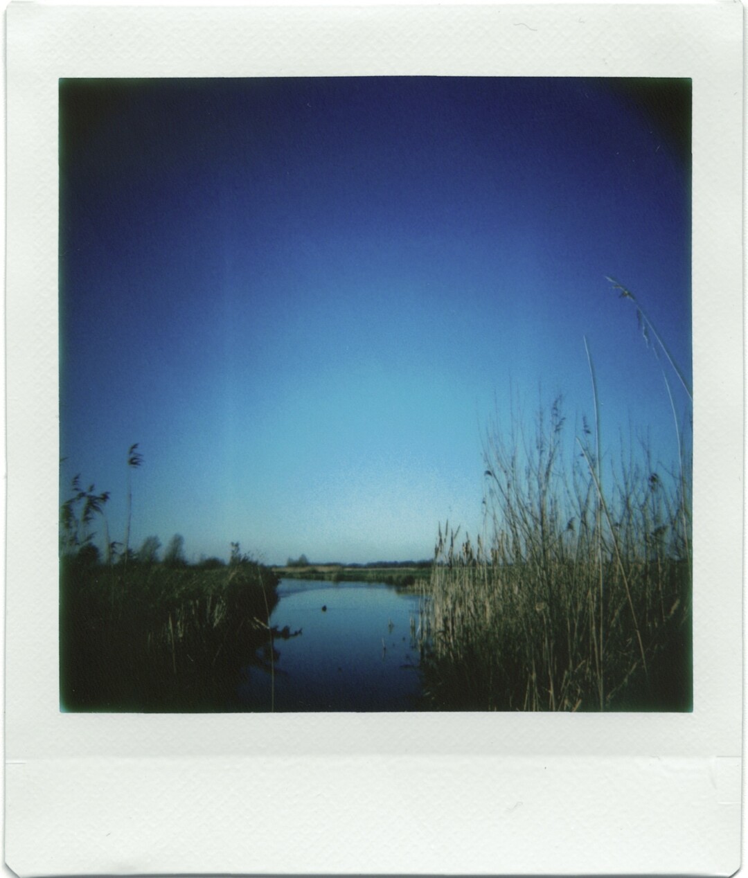 This is a square instax instant photo with white frame. A stream flows in from the bottom of the frame and curls away near the horizon. Yellow reed borders the stream and some green fields can be seen in the distance. The star of the show is a bright blue sky that turns unnaturally blue towards the borders of the photo, as an artefact of the shitty plastic camera this picture was taken with.