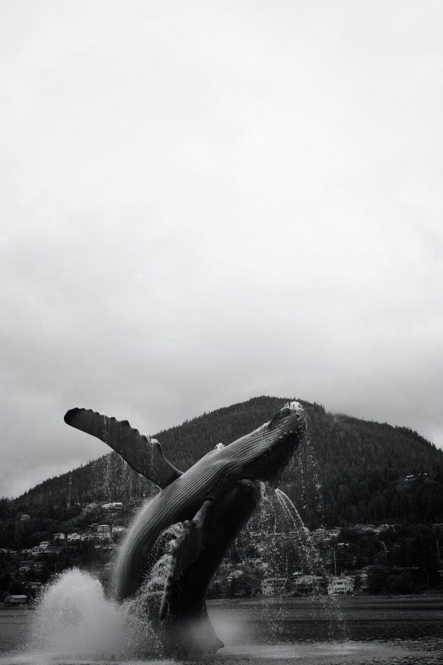 Whale (statue) breaching in downtown Juneau