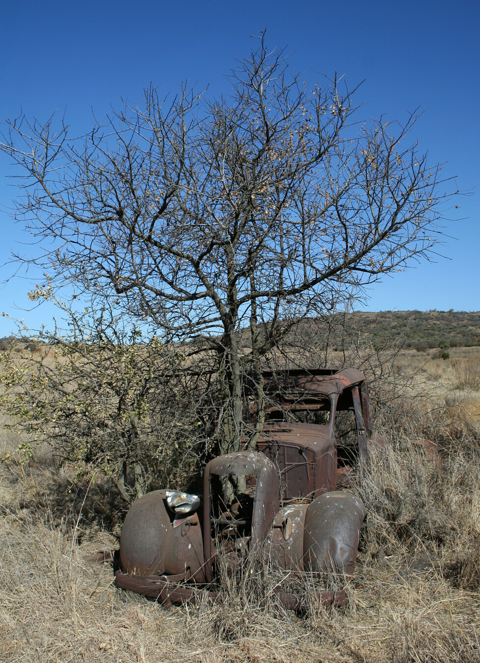 An aged, rusted vehicle sits amidst tall, dry grass, slowly succumbing to the relentless march of time. A skeletal tree stands sentinel beside it, its bare branches reaching towards the clear, cold sky. The scene evokes a profound sense of desolation, hinting at a forgotten past.