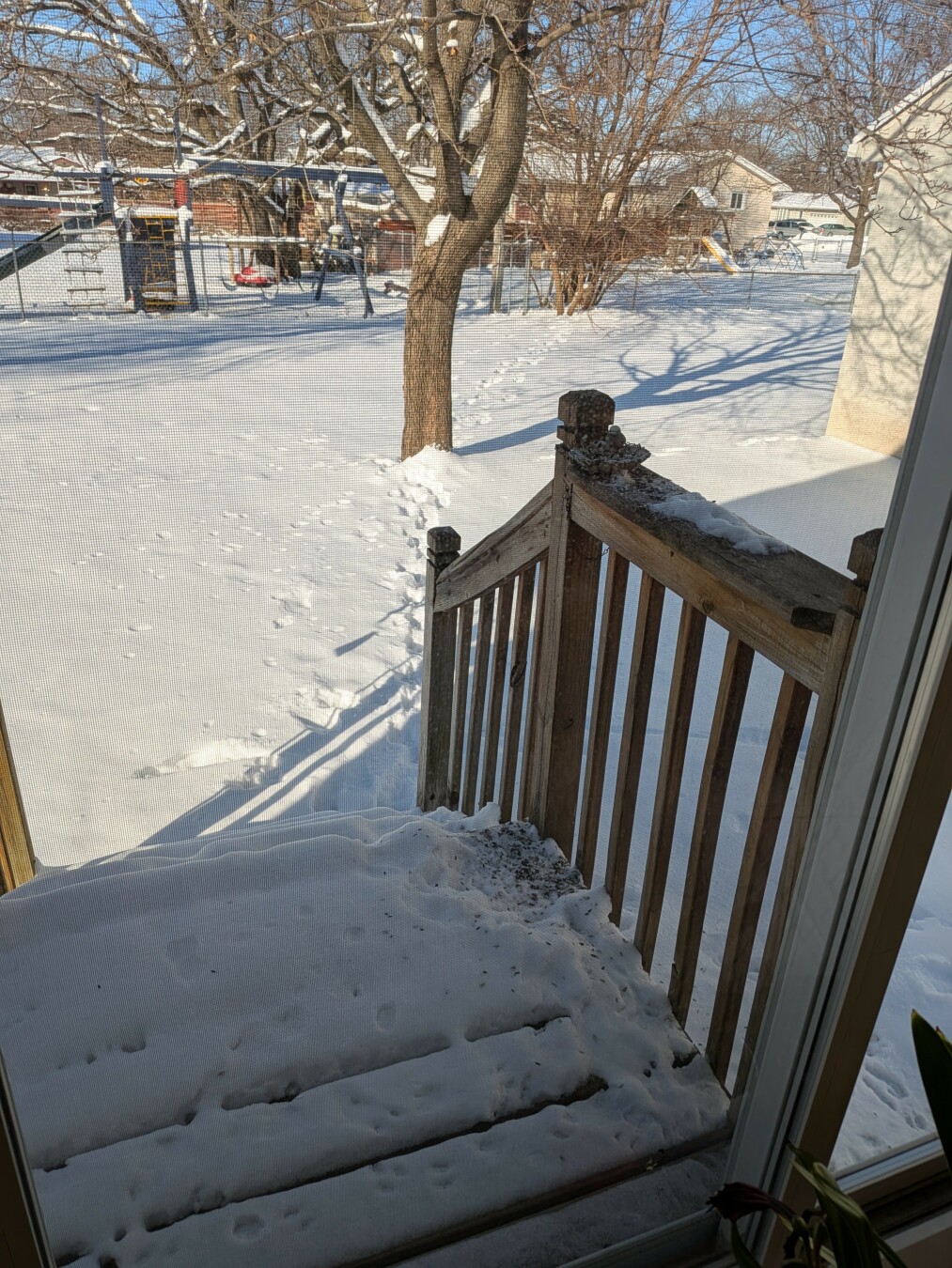 A path in the snow made by squirrels going from a bush by a fence in a yard over to a tree and then up the stairs of a deck to a bird feeder.