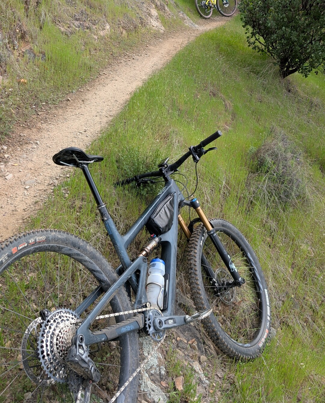 A mountain bike, off a narrow trail