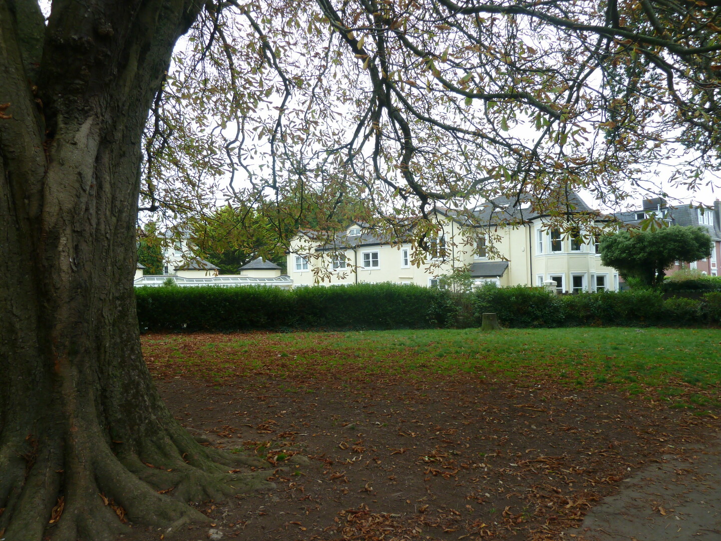 Photo in Cary park, grass area(s) and trees