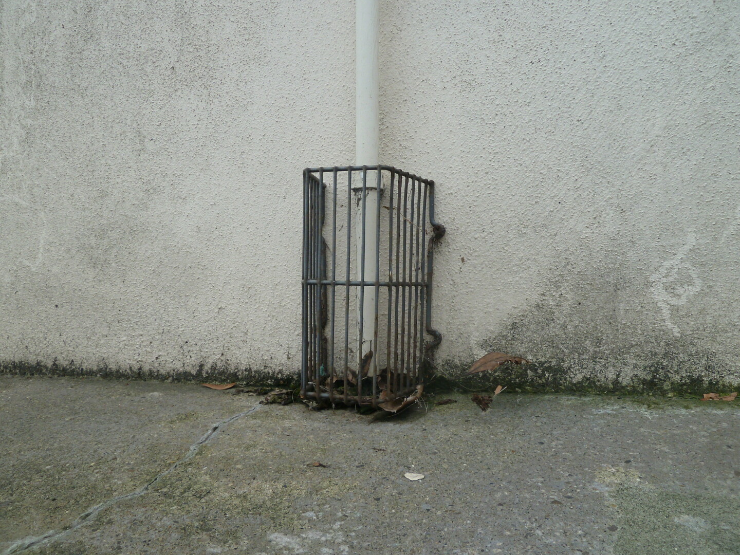 Cover over pipe on wall