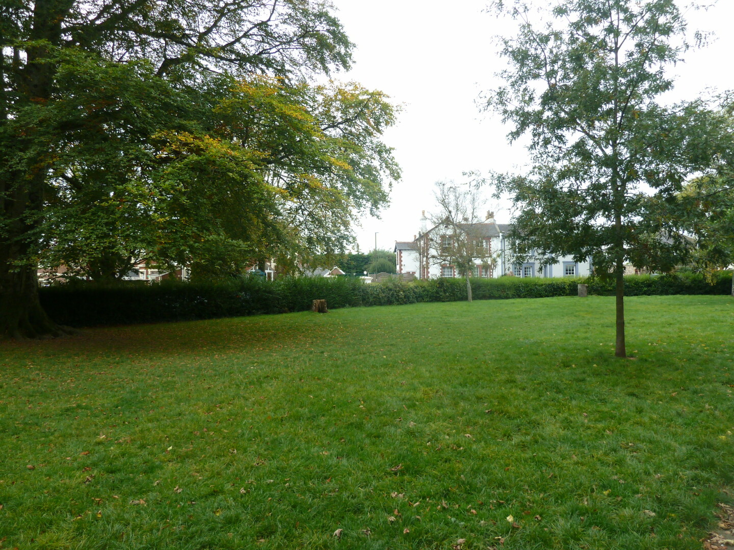 Photo in Cary park, grass area(s) and trees