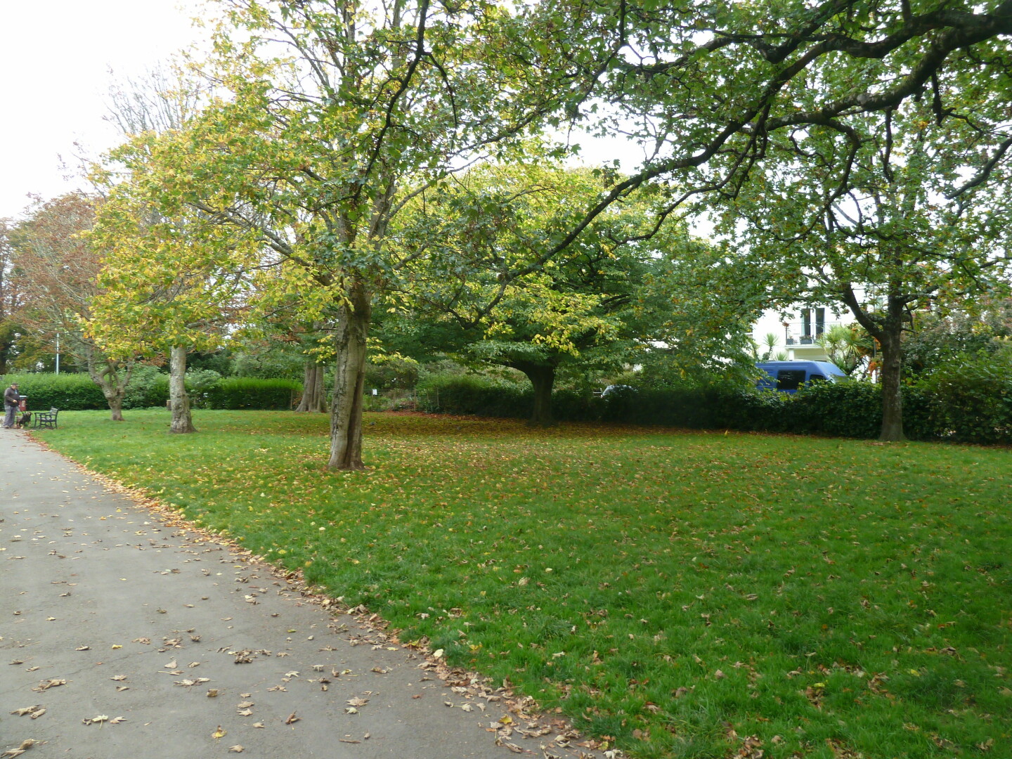 Photo in Cary park,  showing path and trees.