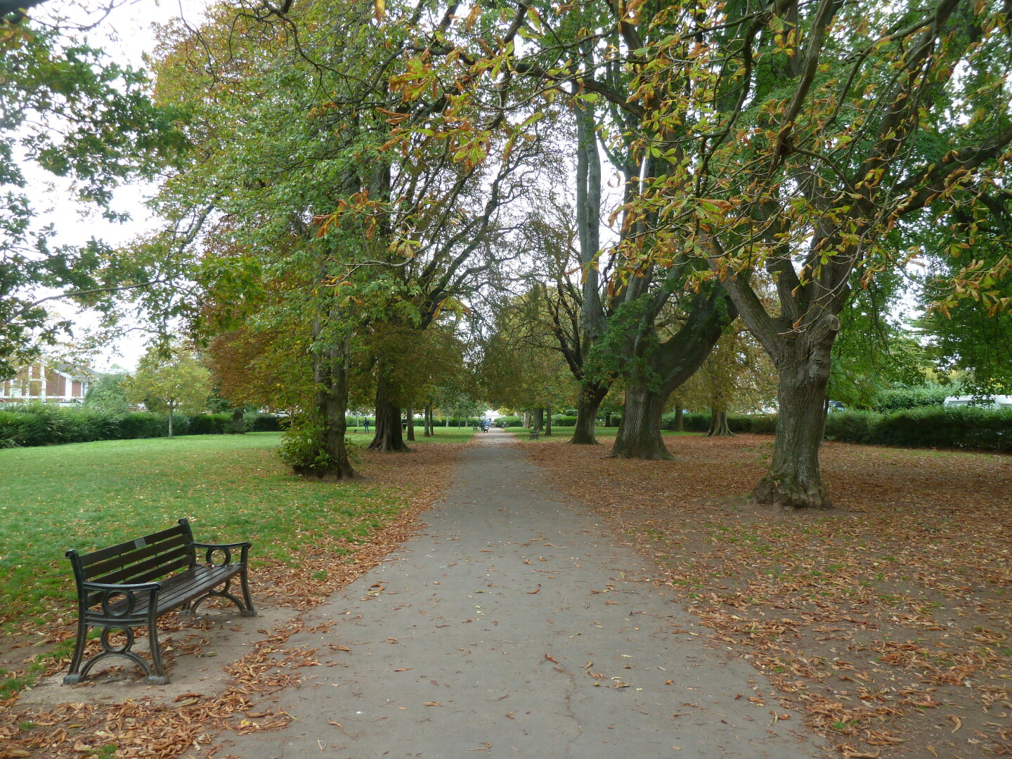 Photo in Cary park,  showing path and trees.