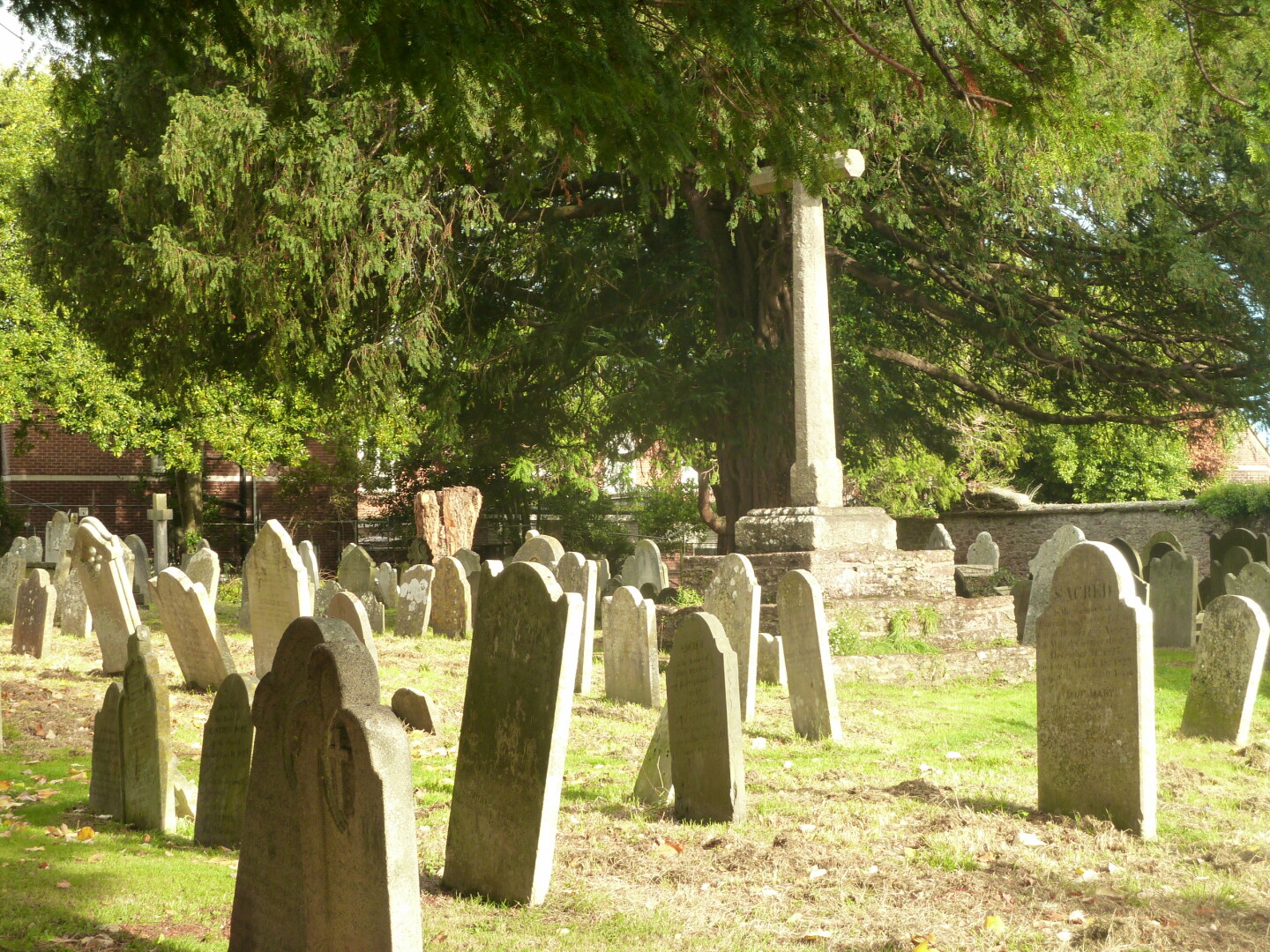 Graveyard, Paignton Parish Church