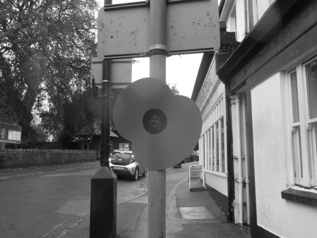 Photo of a cardboard poppy on lamppost,  left over from remembrance service on the 11th November.