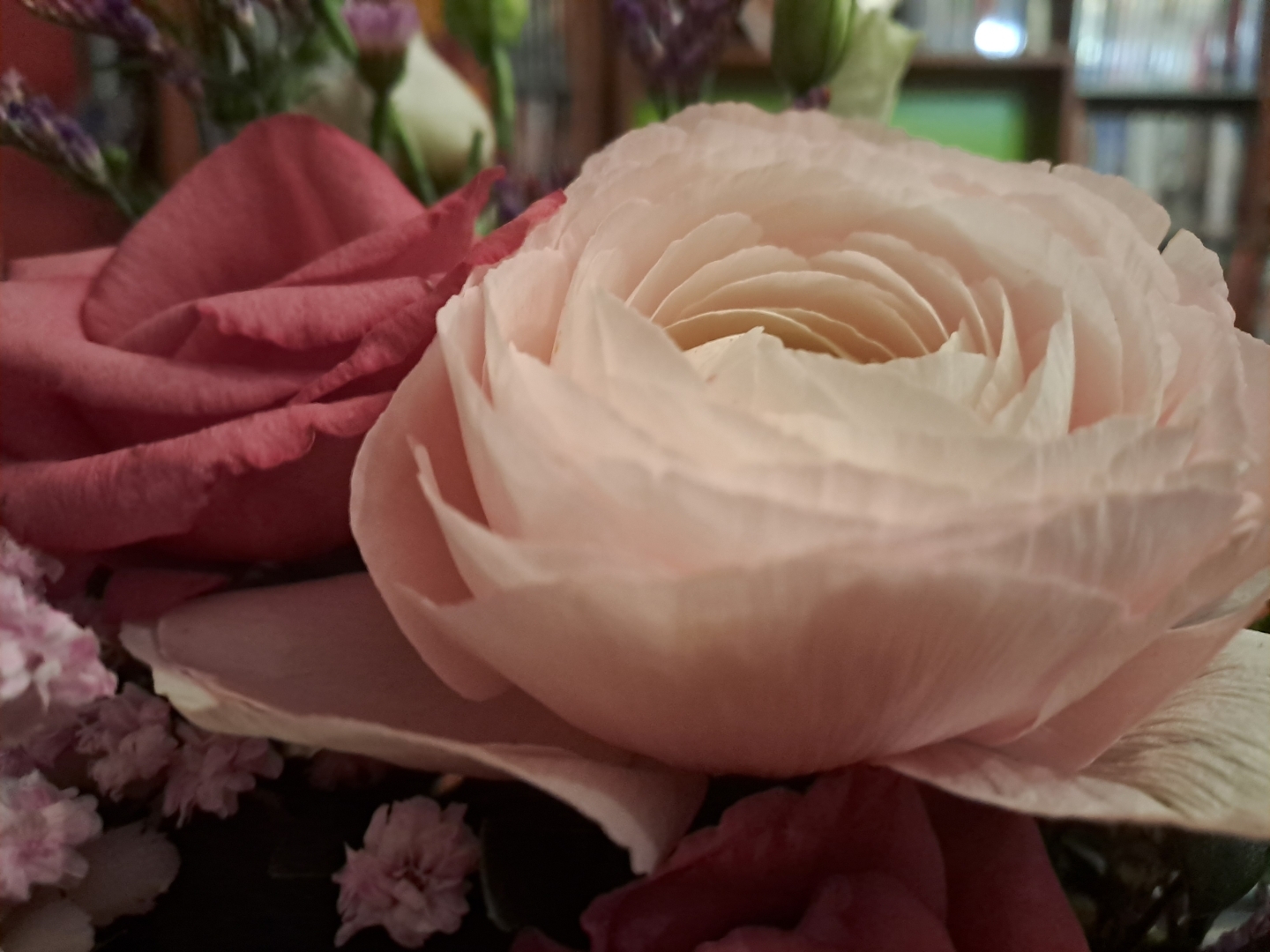 Deux belles fleurs roses, l'une plus claire que l'autre, semblant s'enlacer et danser