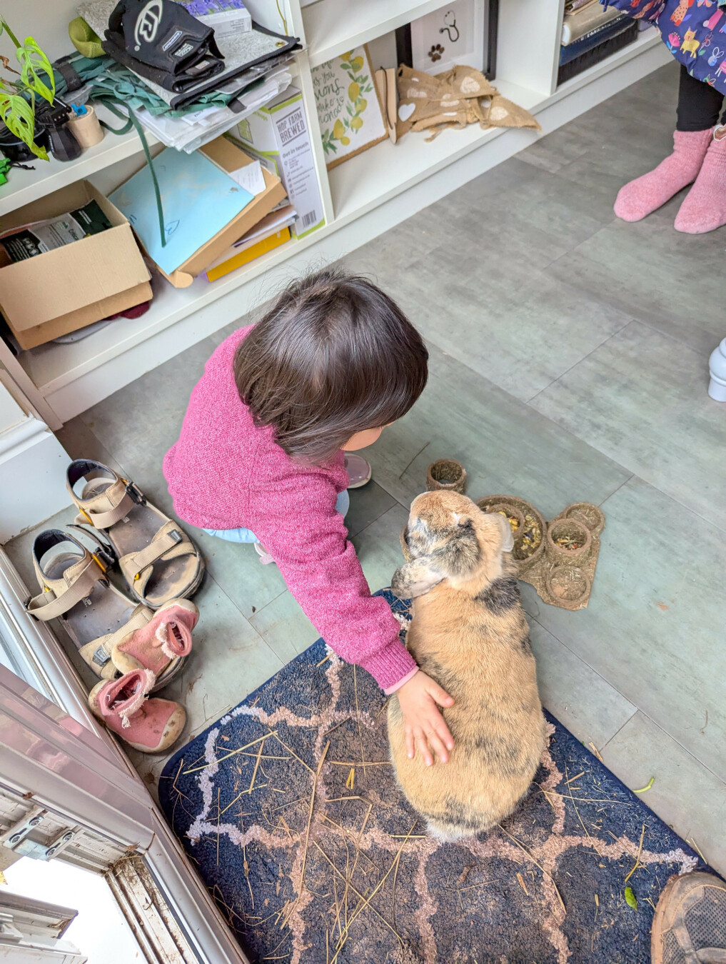 My young daughter petting Peanut, my brown rabbit.