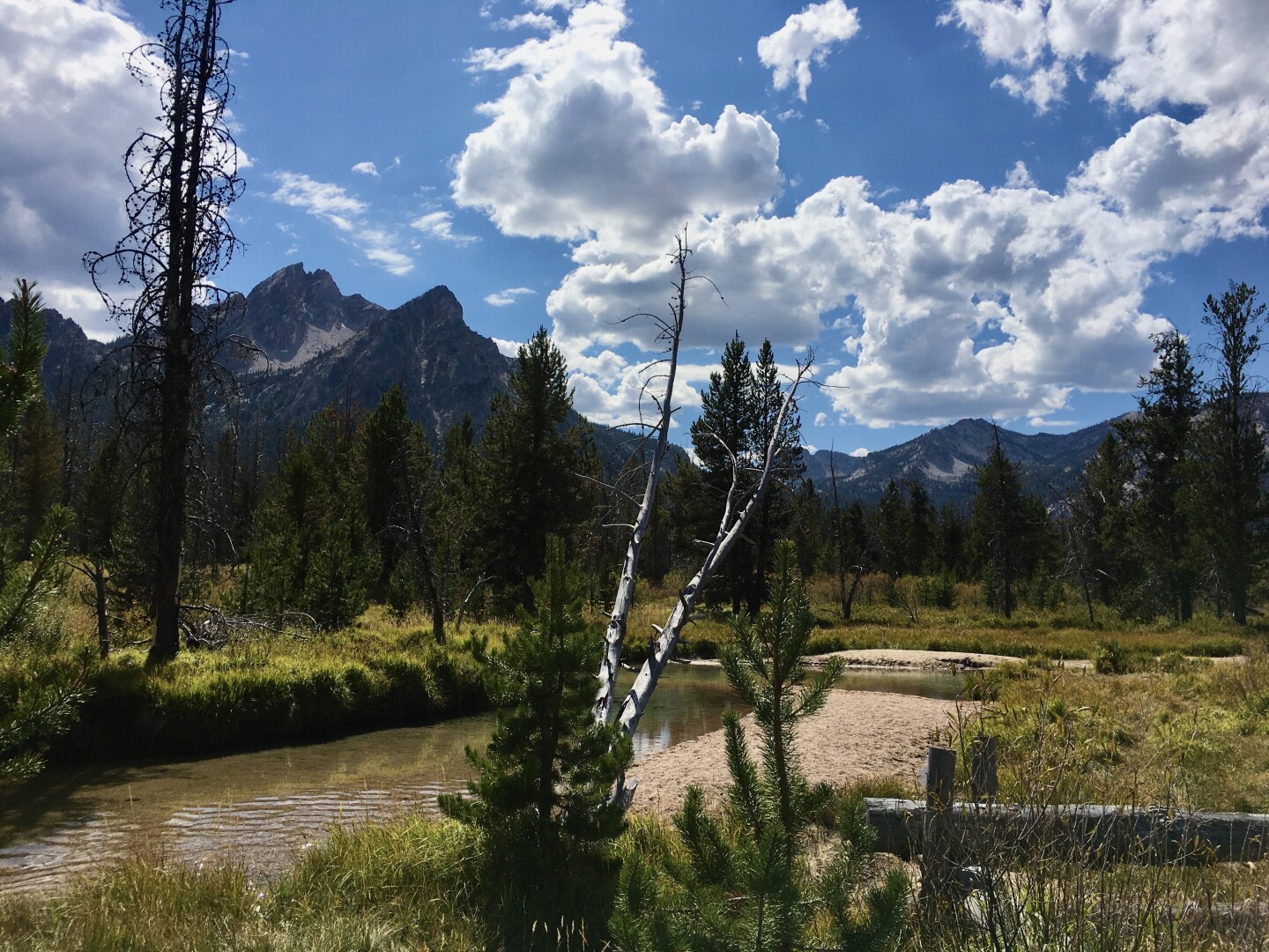 A landscape photograph shows a small river running through tall grass and a forest, with mountains in the background beneath a blue sky with some puffy white clouds. The river runs horizontally through the lower half of the photo and disappears in the background. In the lower right corner are two wooden posts and a small pine tree. To the left of the pine tree is an area of light brown sand. Behind the river is a forest of evergreen trees. In the background are two tall mountains in the center, with a smaller mountain range to the right. The sky is blue with white clouds. A tall, thin, bare tree stands at the left of the frame.