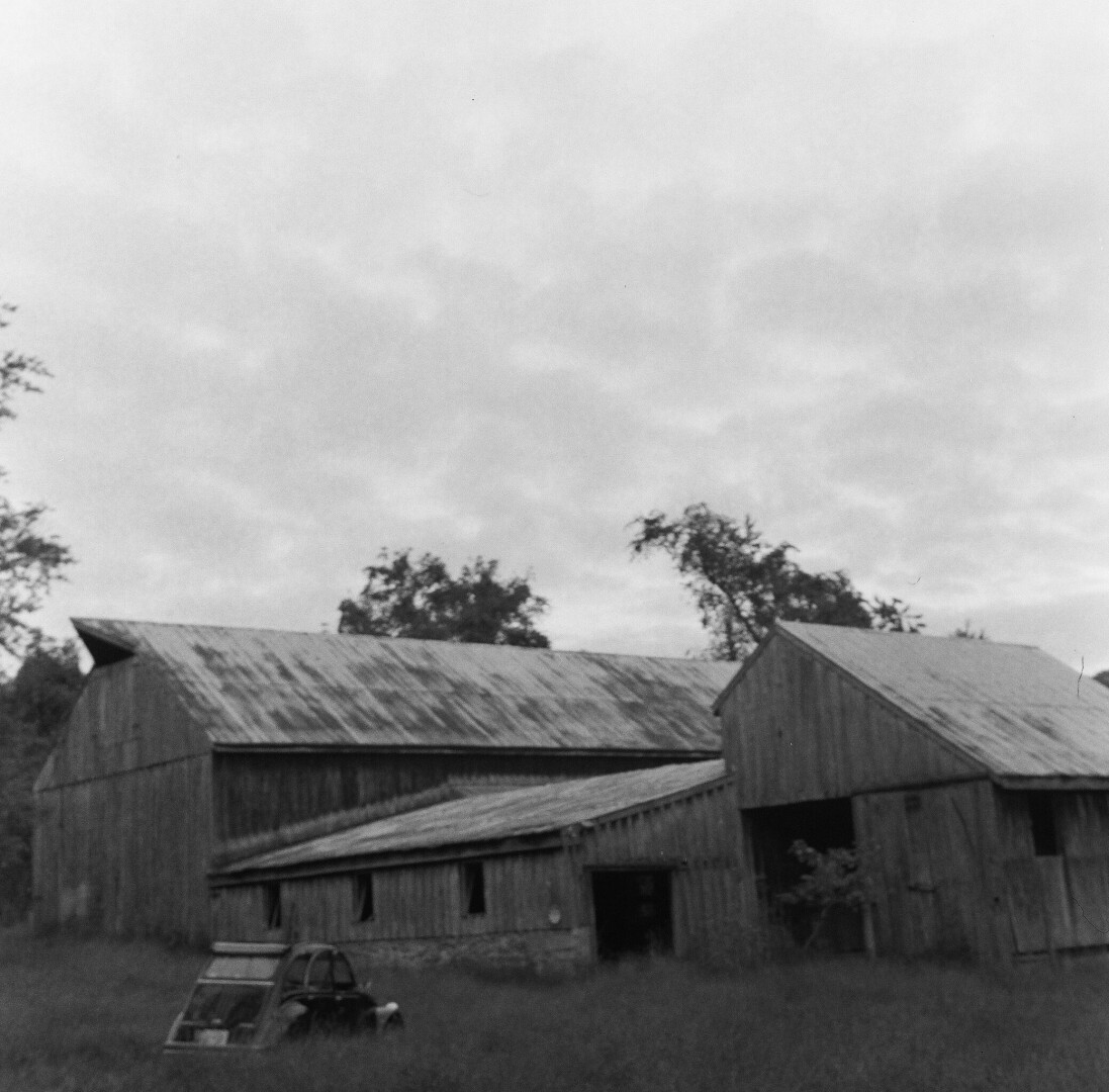 black and white photograph, shot on a Yashicaflex twin lens reflex camera, of a Citroën in weeds by an abandoned barn