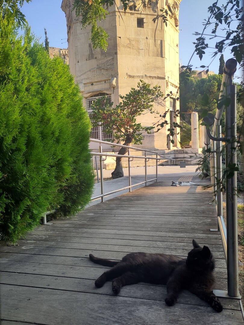 Two cats are laying lazily in the shade a couple meters apart on a wooden bridge leading towards the Tower of the Winds in the sunny background.