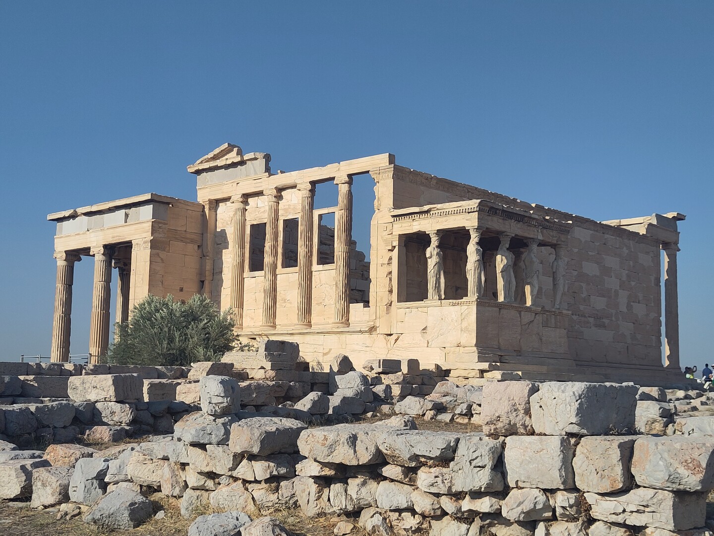 The Erechtheion on the Athenian Acropolis, a temple dedicated to Athena Polias, captured from an angle to show the columns and olive tree on the left side, and the caryatids on the right side.