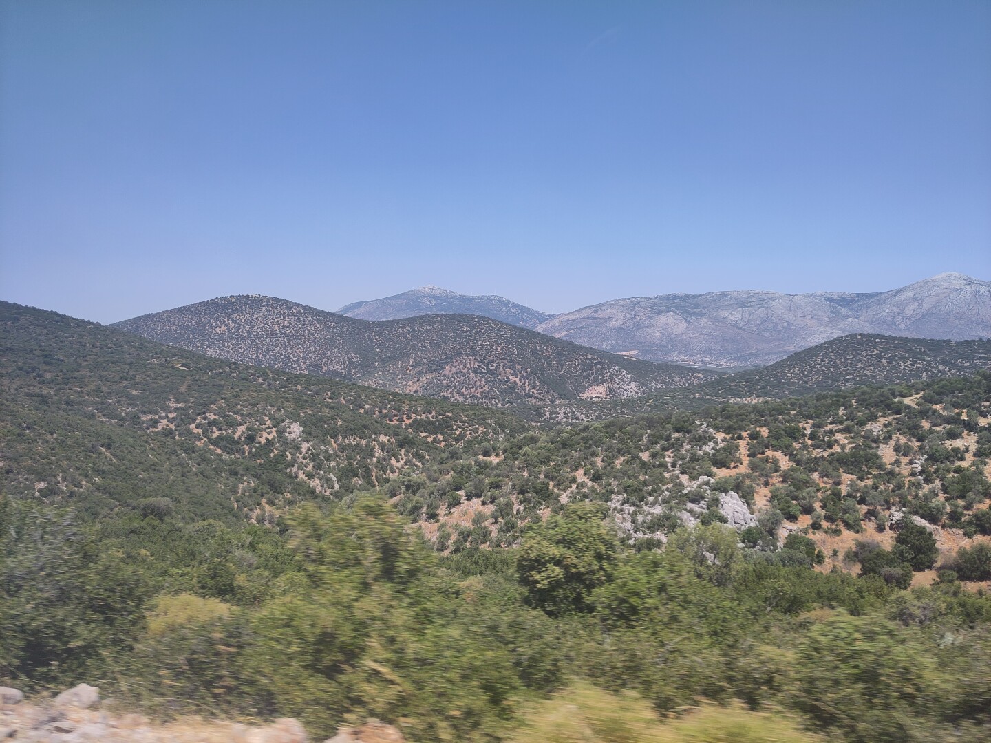 View of the beautiful landscape on the drive around Epidaurus, showing several hills flowing into each other, covered in trees. Especially coming from the infamously flat Netherlands, these hills and later mountains of mainland Greece were truly a delight!