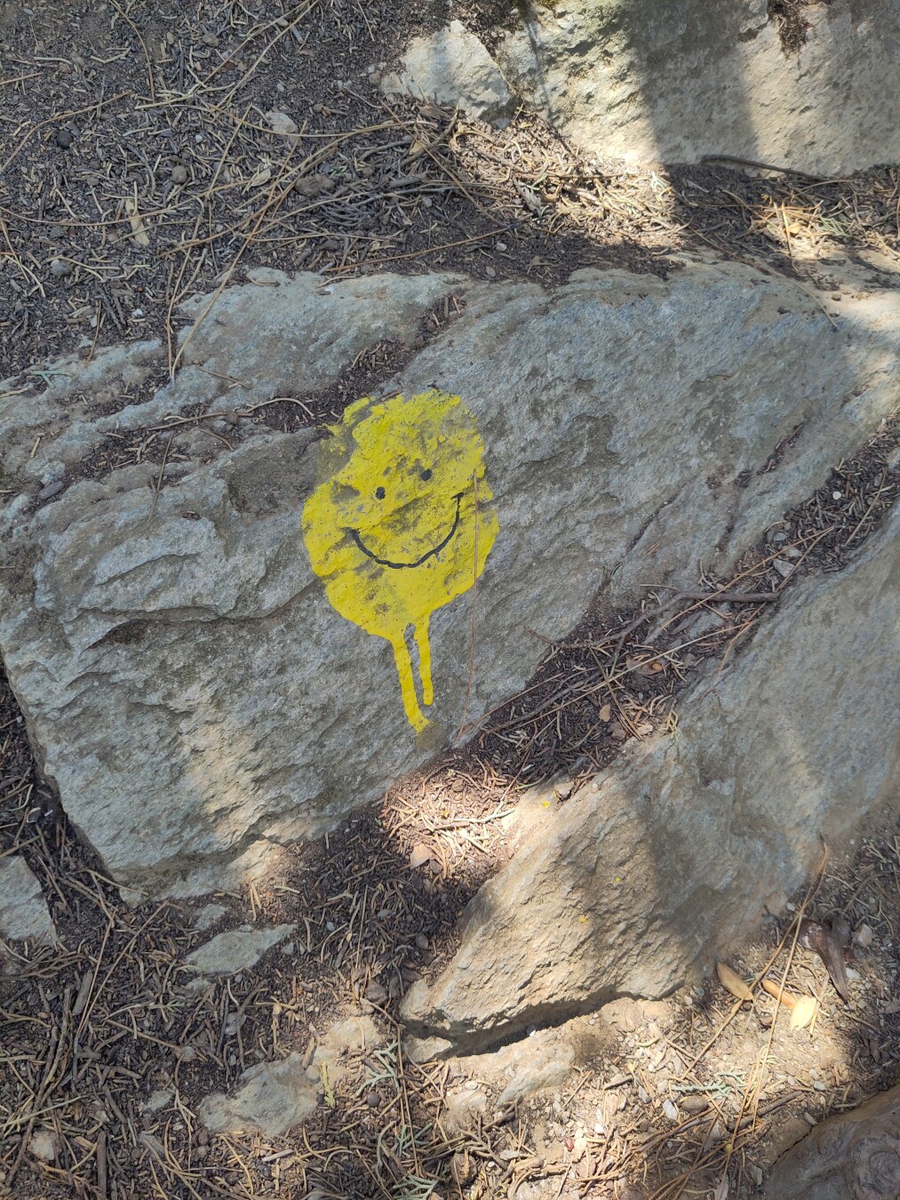 A close-up of the stones of the botanical path, one of which has a yellow smiley spray-painted on it.