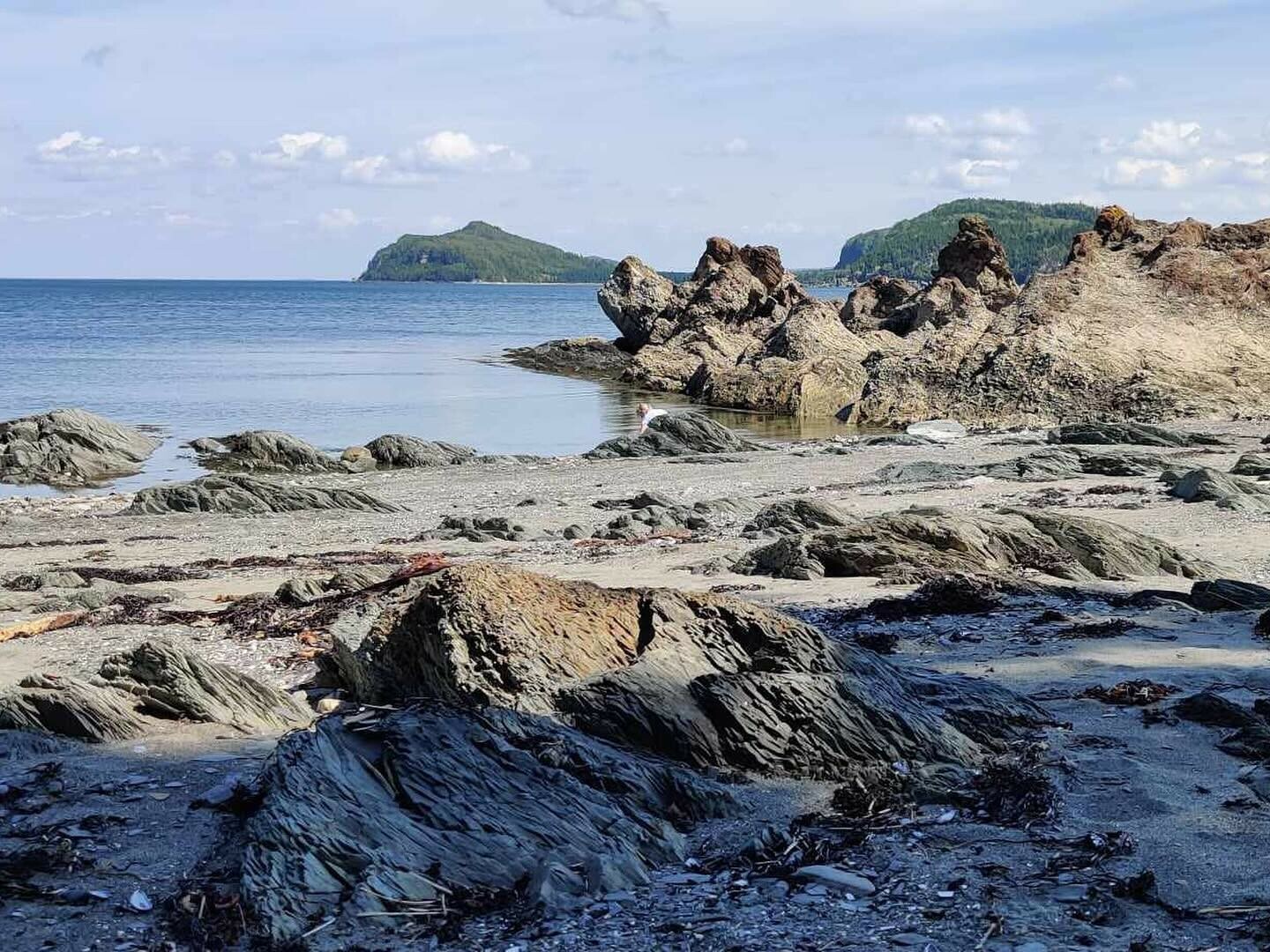 Rocky waterfront, low tide.