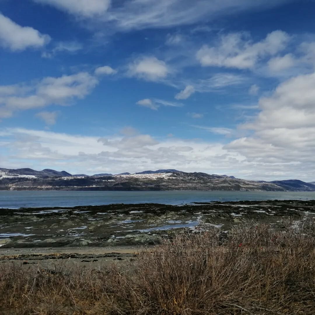 Saint Lawrence river, snowy mountains in background, bushes without leaves, low tide, blue sky