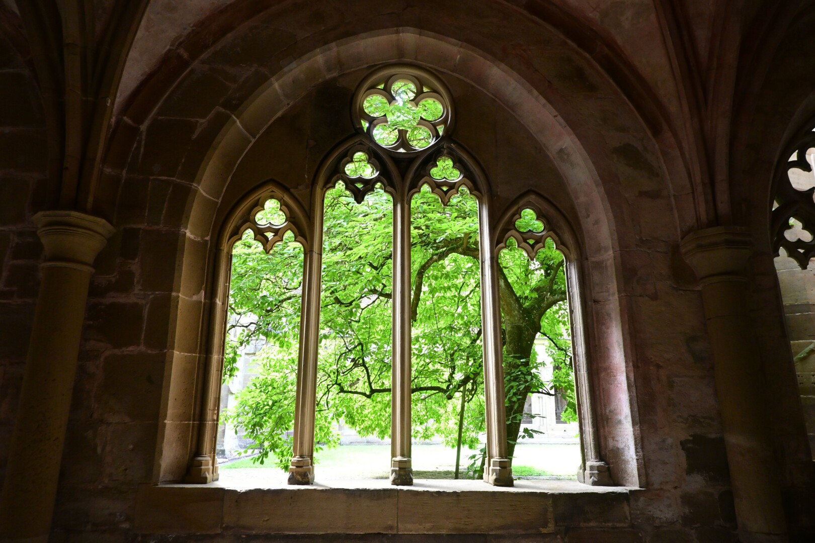 A stone arched window frames a view of lush green trees and foliage. The window has intricate gothic tracery and is part of a dark, stone interior.