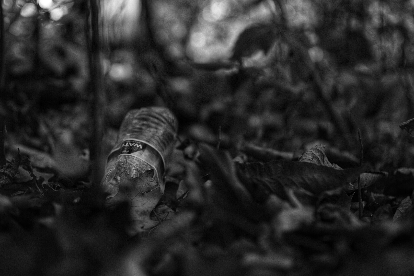 plastic bottle in the woods