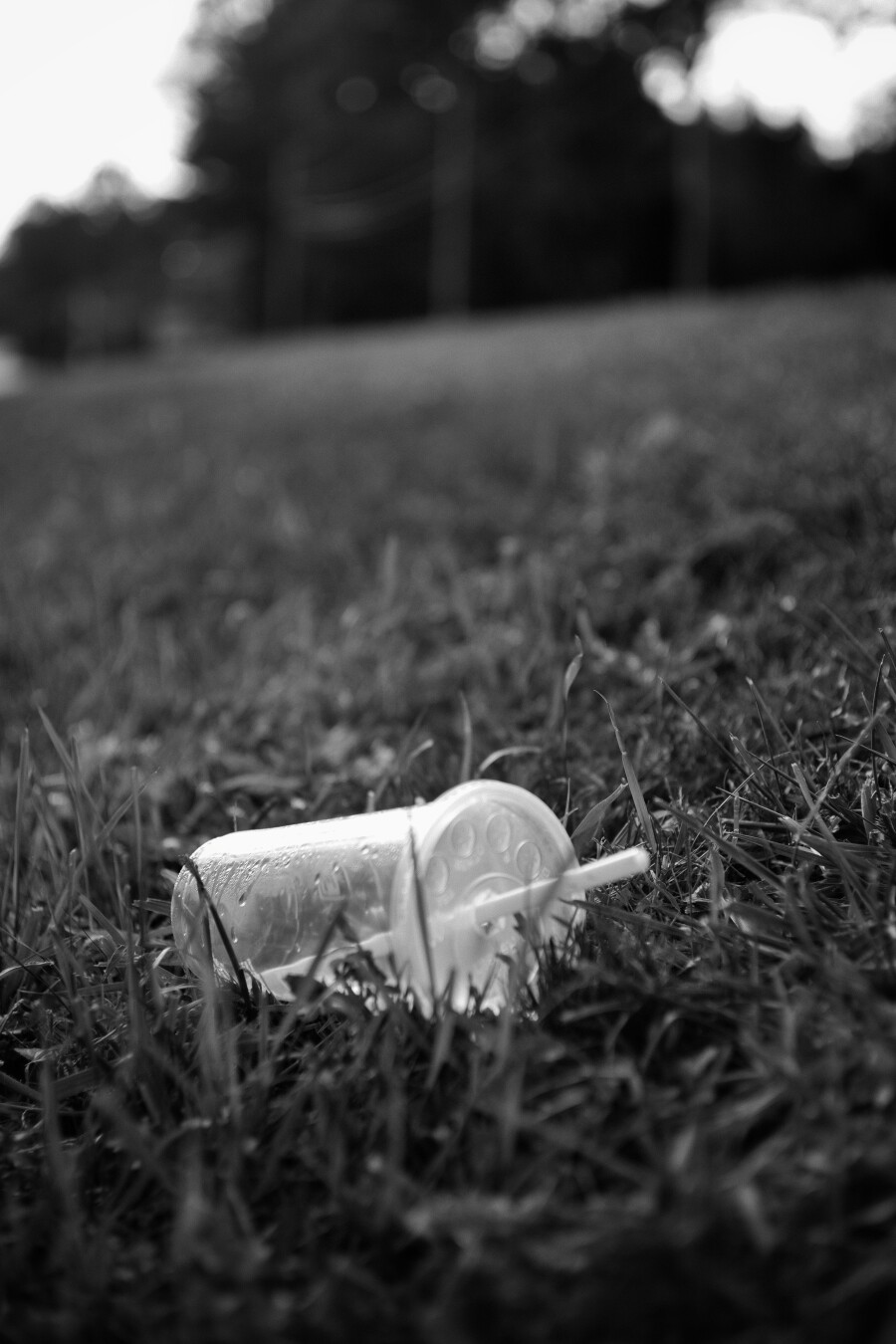 plastic cup in the grass