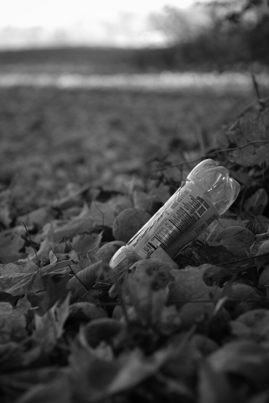 plastic bottle along a trail in a pile of walmuts